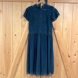 Anthropologie Feather Bone lace and pleated tulle dress size 10